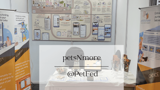Introducing petsNmore – built by pet parents, for pet parents