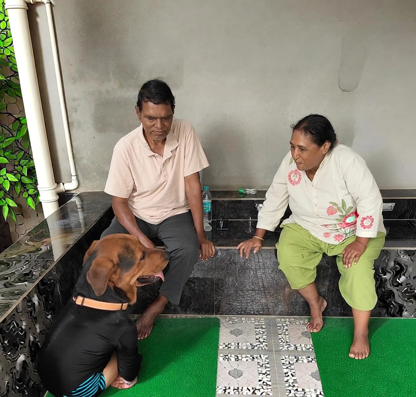 Raman's pet story