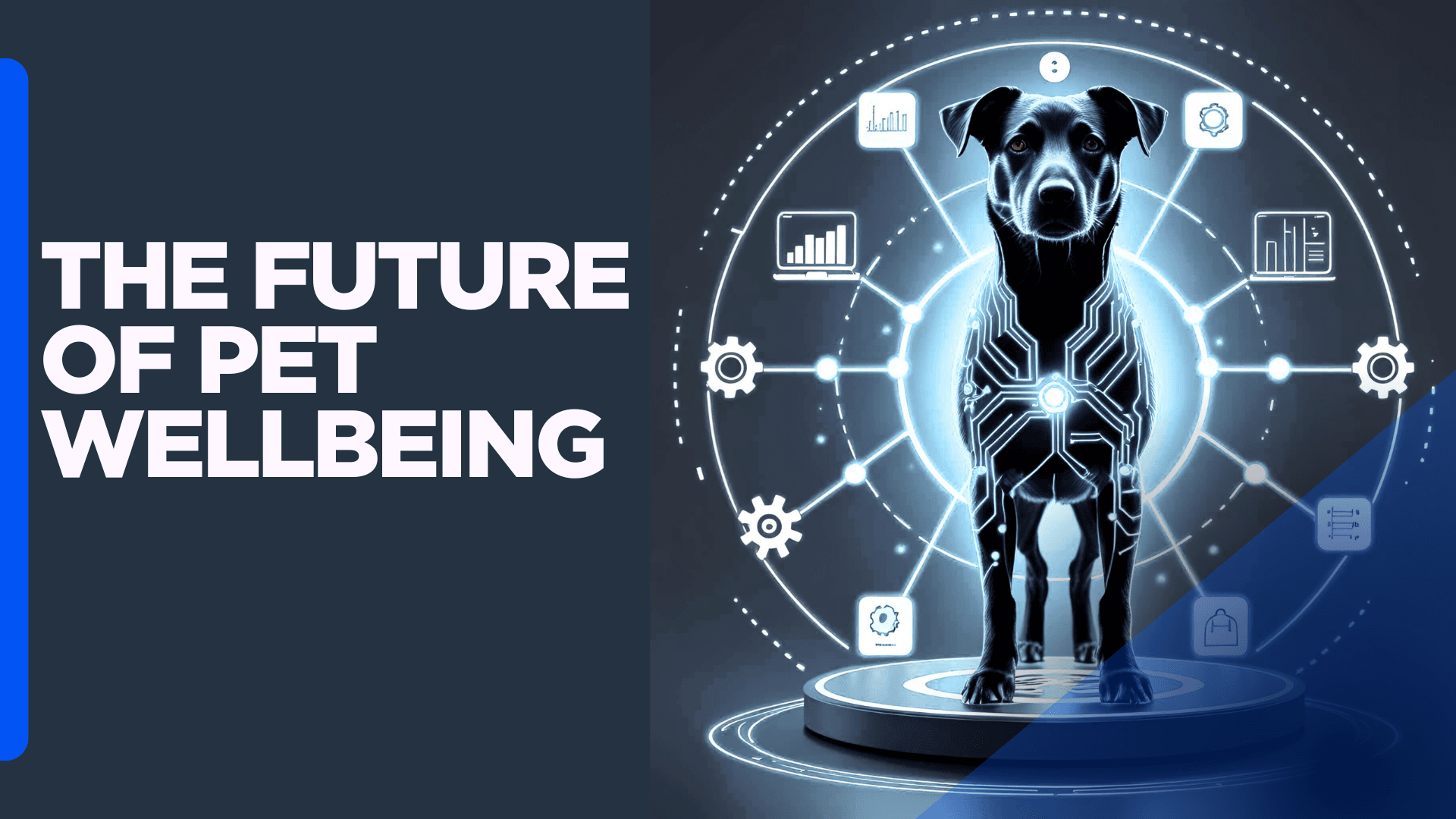 The future of Pet Wellbeing: How AI is shaping a Healthier, More Connected Life for our Companions