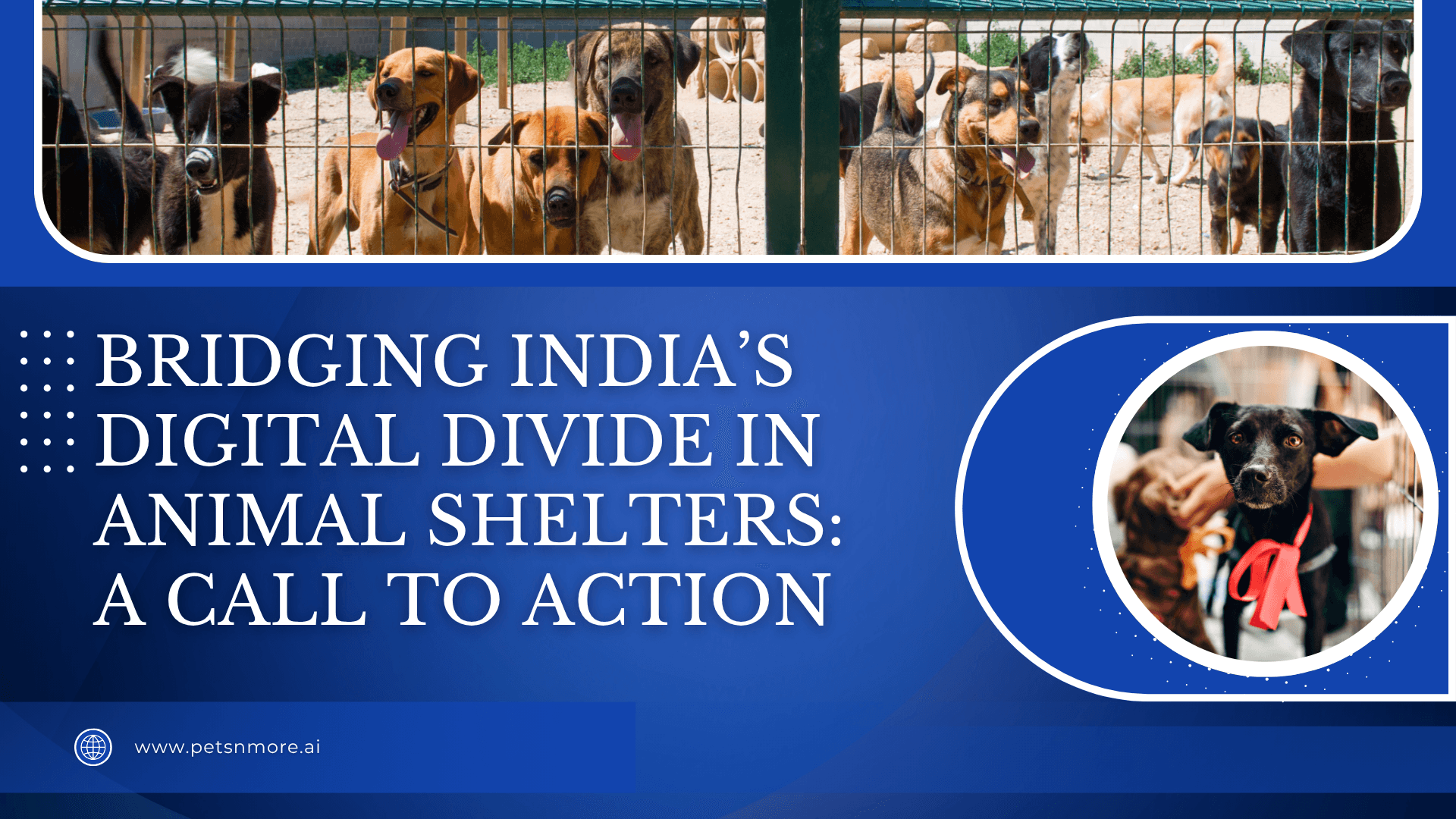 Bridging India’s Digital Divide in Animal Shelters: A Call to Action